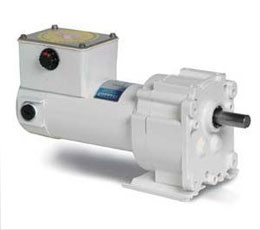 Parallel Shaft DC Gearmotors