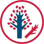 Trim Trees And Remove Hazards
