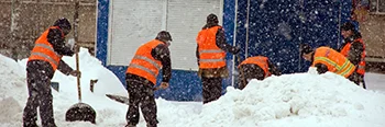 Team Safety
