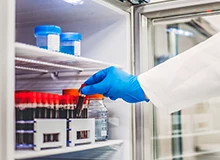 Medical & Laboratory