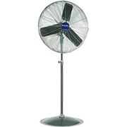 Pedestal Fans