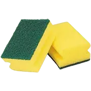 Sponges