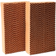 Media Pads