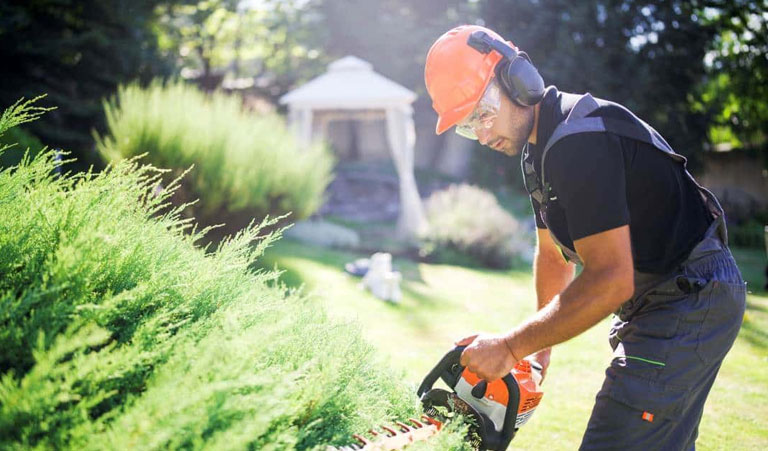 Get Down And Dirty—A Landscaping Buyer’s Guide