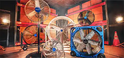 Fans