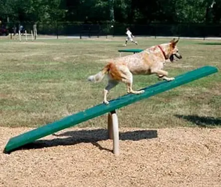 Dog Park Equipment