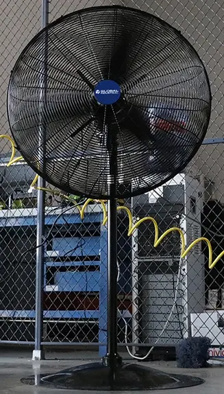 Pedestal Fans